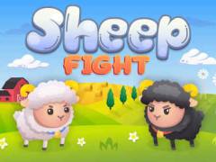 Sheep Fight